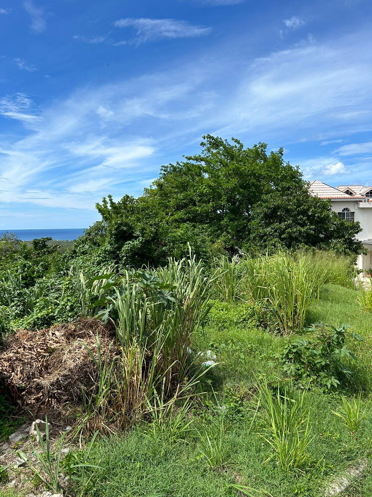 Second image of Red Birch Crescent in Ironshore, St. James, Jamaica - property is For Sale