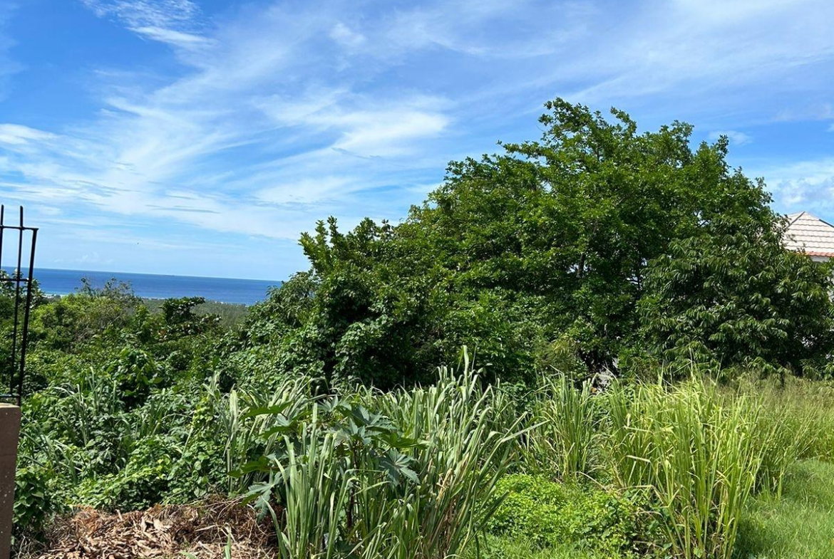 Fourth image of Red Birch Crescent in Ironshore, St. James, Jamaica - property is For Sale
