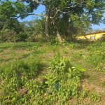 First image of Commodore rd in Linstead, St. Catherine, Jamaica - property is For Sale