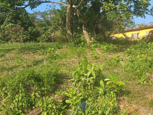 First image of Commodore rd in Linstead, St. Catherine, Jamaica - property is For Sale