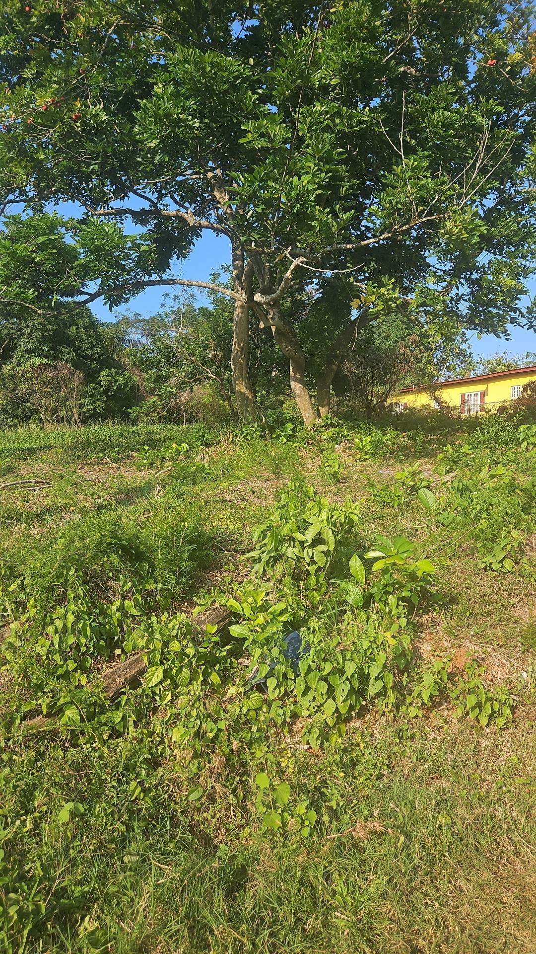 First image of Commodore rd in Linstead, St. Catherine, Jamaica - property is For Sale