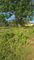 First image of Commodore rd in Linstead, St. Catherine, Jamaica - property is For Sale