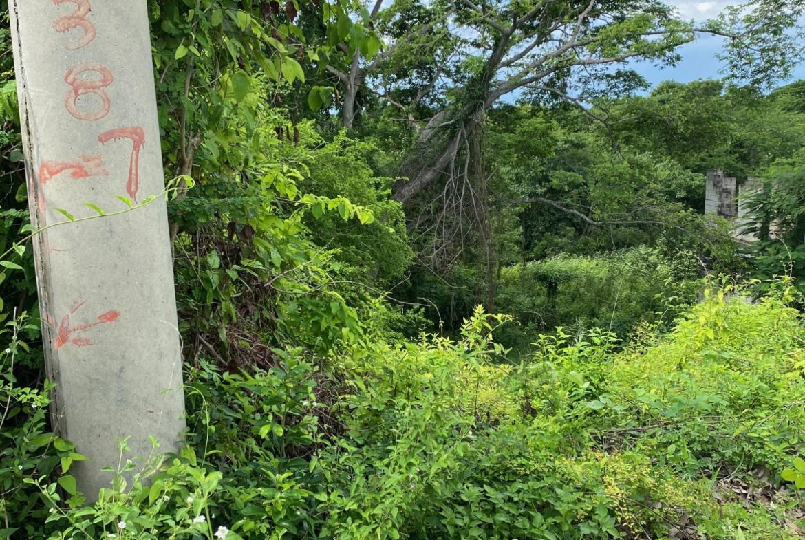 Second image of 198 Shields Road, Luana, Blac in Luana, St. Elizabeth, Jamaica - property is For Sale