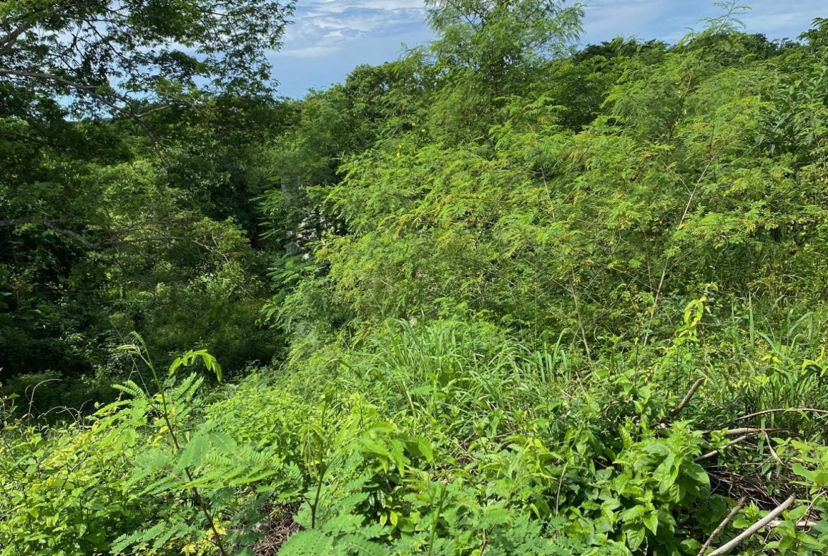 Eleventh image of 198 Shields Road, Luana, Blac in Luana, St. Elizabeth, Jamaica - property is For Sale