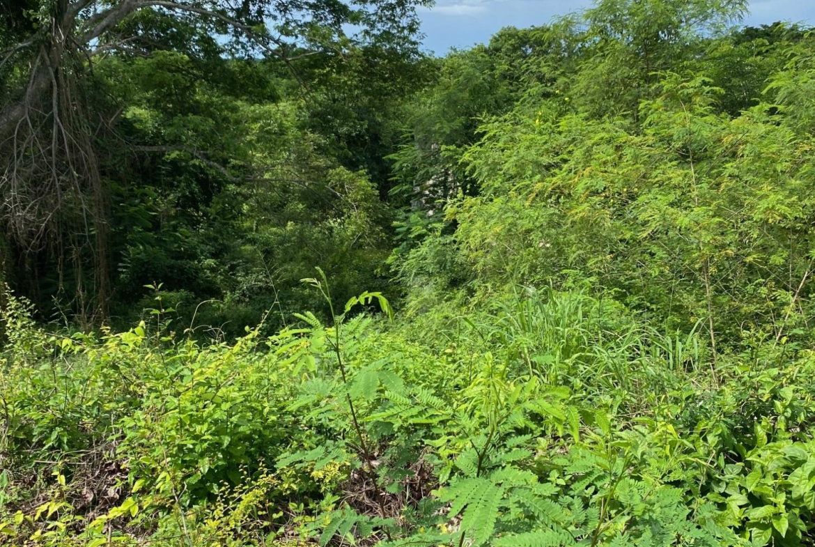 Twelfth image of 198 Shields Road, Luana, Blac in Luana, St. Elizabeth, Jamaica - property is For Sale