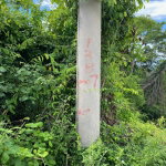 First image of 198 Shields Road, Luana, Blac in Luana, St. Elizabeth, Jamaica - property is For Sale