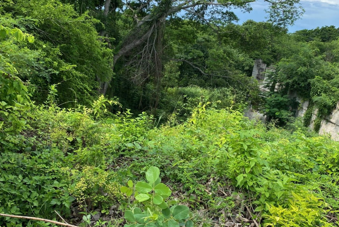 Third image of 198 Shields Road, Luana, Blac in Luana, St. Elizabeth, Jamaica - property is For Sale