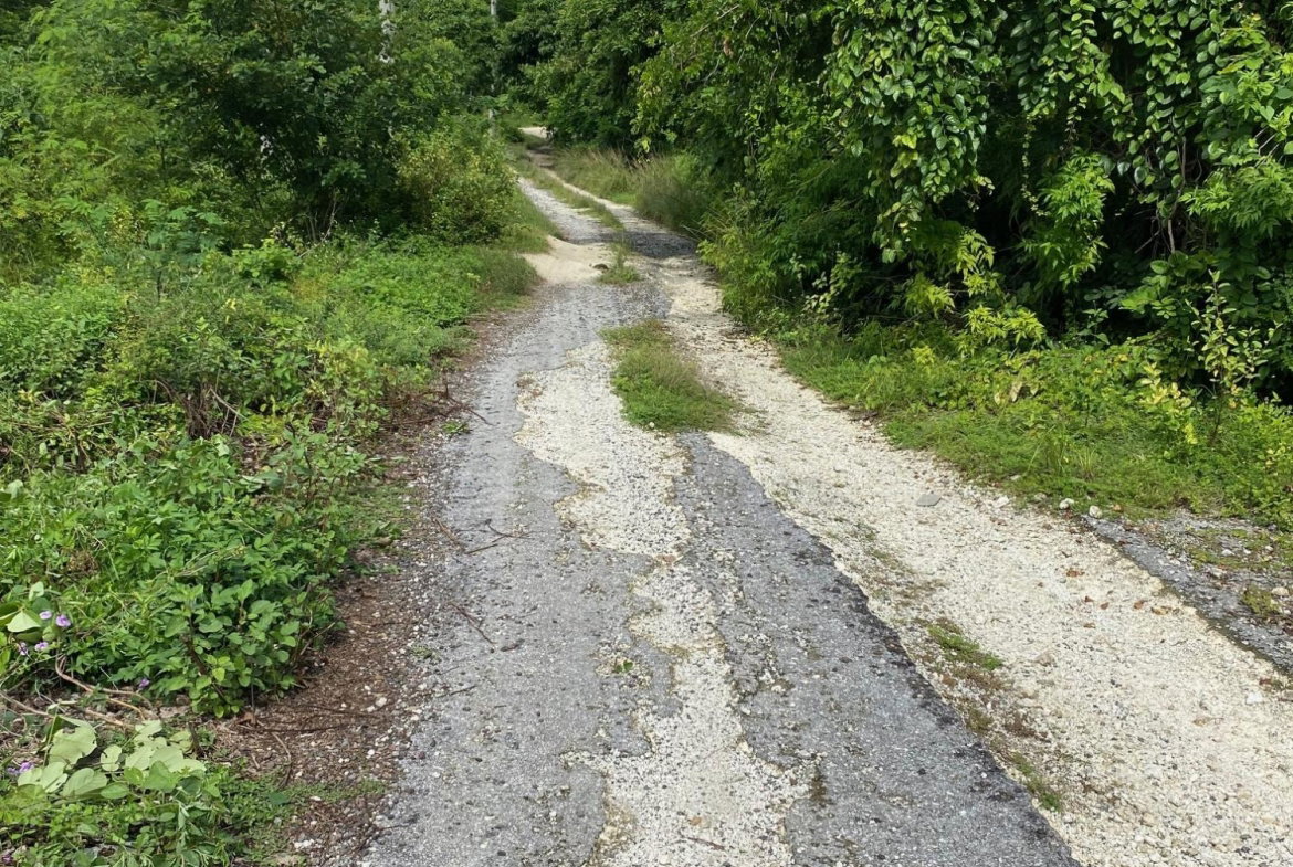 Fourth image of 198 Shields Road, Luana, Blac in Luana, St. Elizabeth, Jamaica - property is For Sale