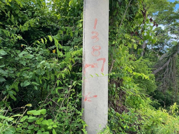 First image of 198 Shields Road, Luana, Blac in Luana, St. Elizabeth, Jamaica - property is For Sale