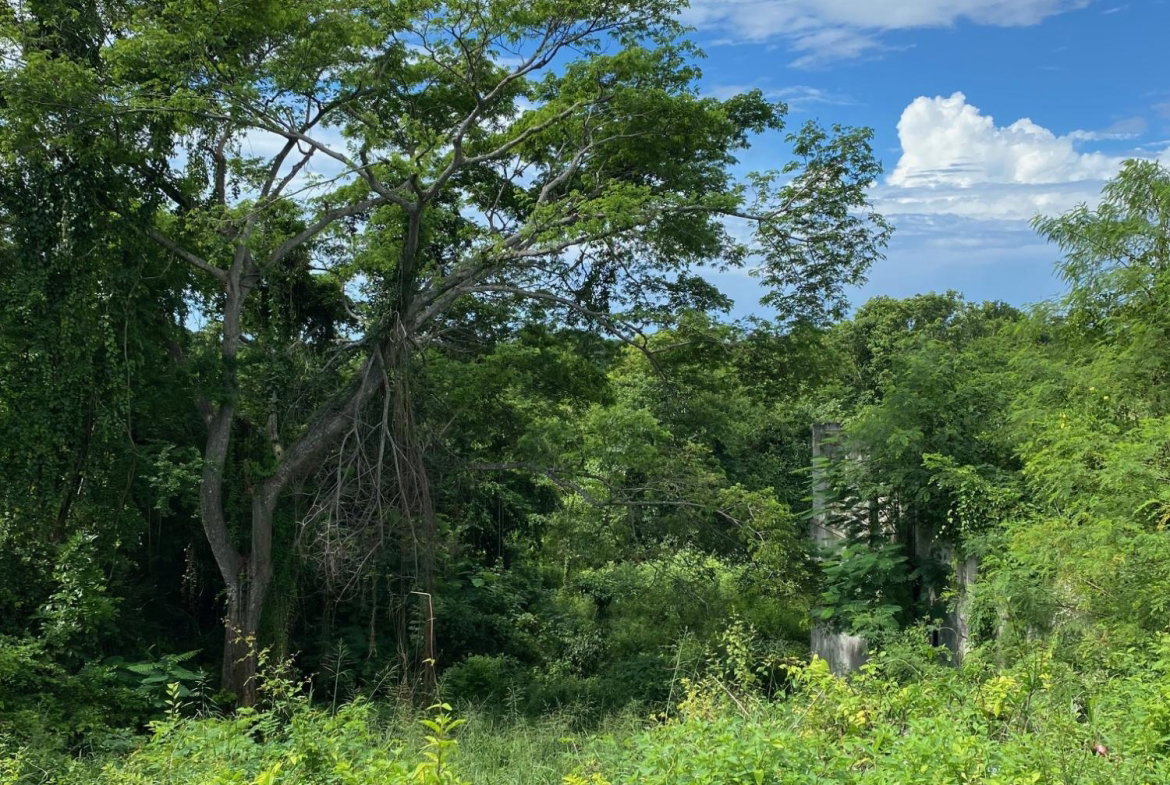 Eighth image of 198 Shields Road, Luana, Blac in Luana, St. Elizabeth, Jamaica - property is For Sale