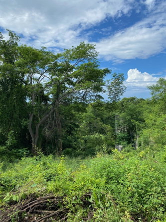 Eighth image of 198 Shields Road, Luana, Blac in Luana, St. Elizabeth, Jamaica - property is For Sale