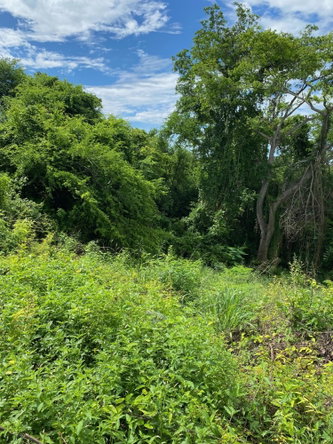 Ninth image of 198 Shields Road, Luana, Blac in Luana, St. Elizabeth, Jamaica - property is For Sale