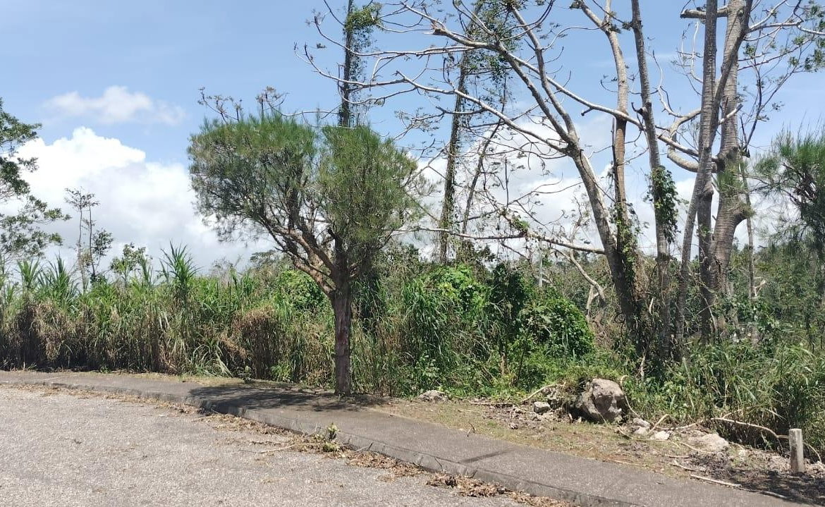 Eleventh image of 100 Moorelands Estate in Mandeville, Manchester, Jamaica - property is For Sale