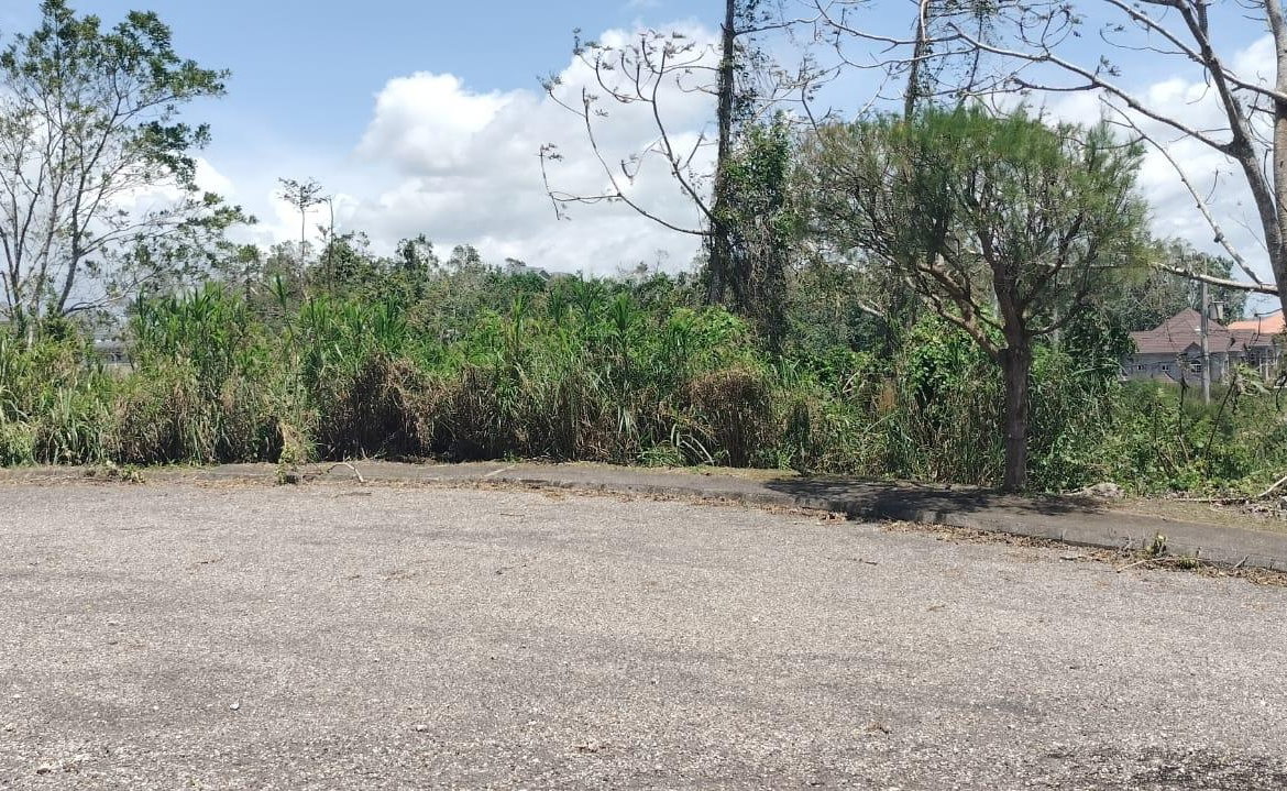 Twelfth image of 100 Moorelands Estate in Mandeville, Manchester, Jamaica - property is For Sale