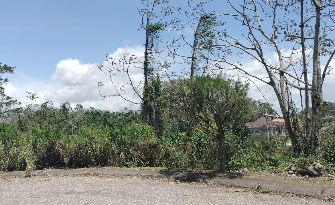 Thirteenth image of 100 Moorelands Estate in Mandeville, Manchester, Jamaica - property is For Sale