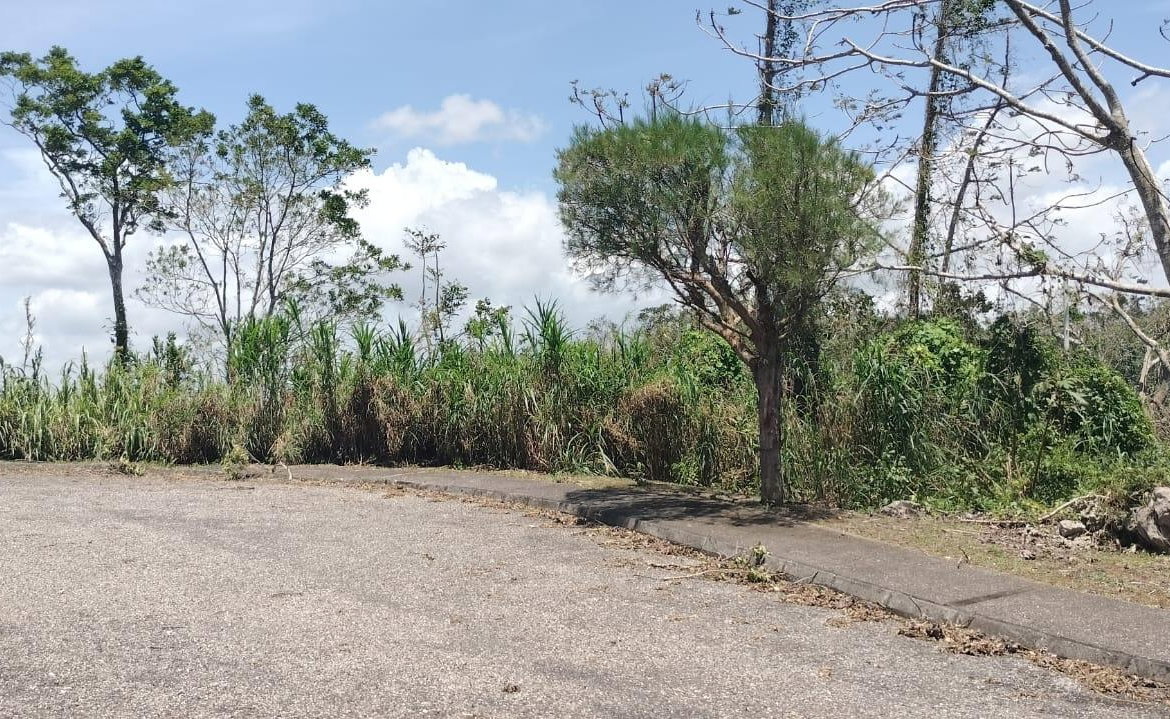 Fourteenth image of 100 Moorelands Estate in Mandeville, Manchester, Jamaica - property is For Sale