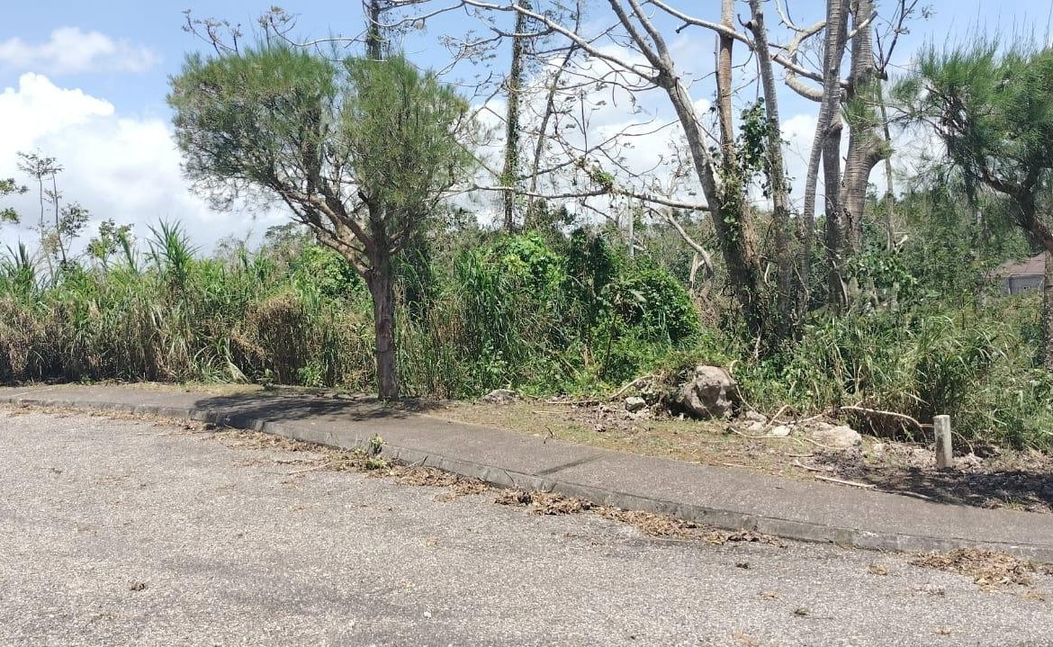 Fifteenth image of 100 Moorelands Estate in Mandeville, Manchester, Jamaica - property is For Sale