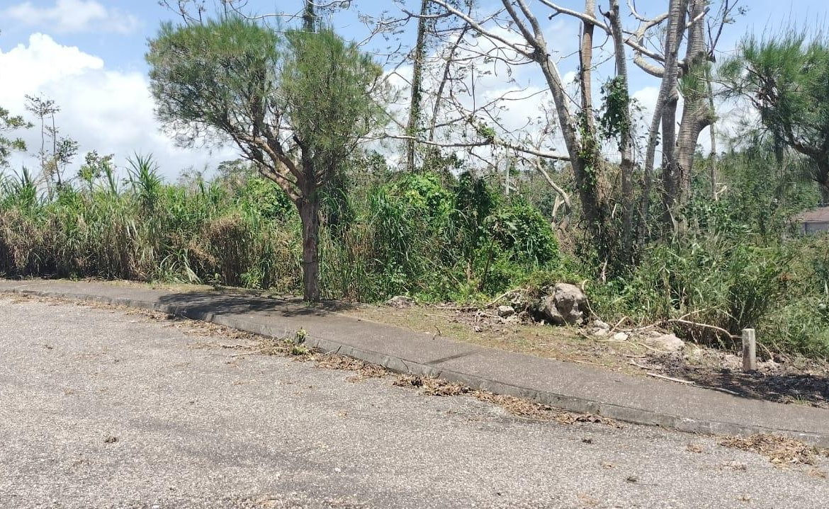 Sixteenth image of 100 Moorelands Estate in Mandeville, Manchester, Jamaica - property is For Sale