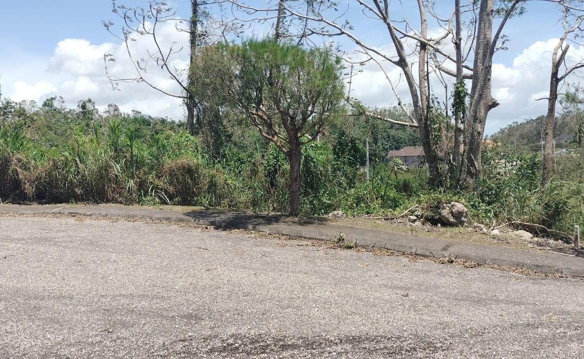 Seventeenth image of 100 Moorelands Estate in Mandeville, Manchester, Jamaica - property is For Sale