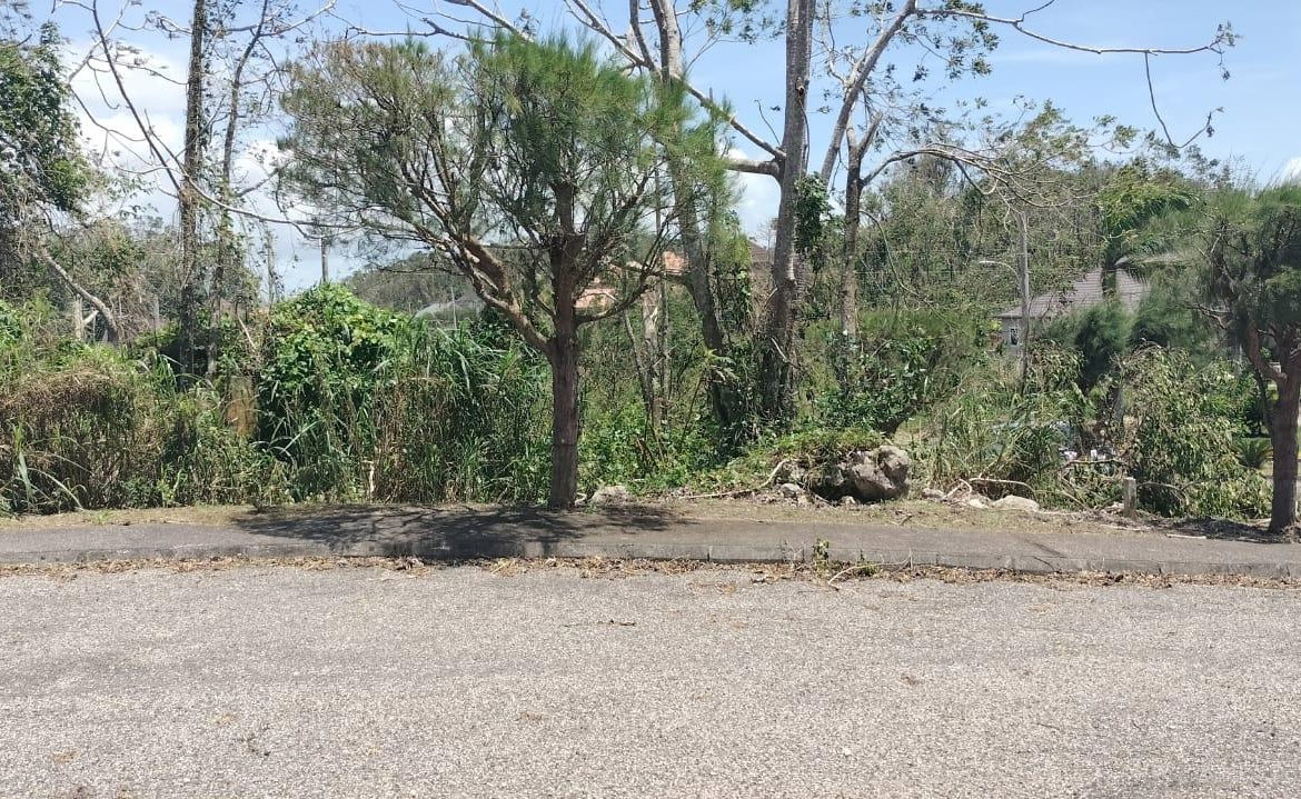 Nineteenth image of 100 Moorelands Estate in Mandeville, Manchester, Jamaica - property is For Sale