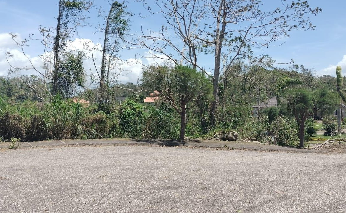 Twentieth image of 100 Moorelands Estate in Mandeville, Manchester, Jamaica - property is For Sale