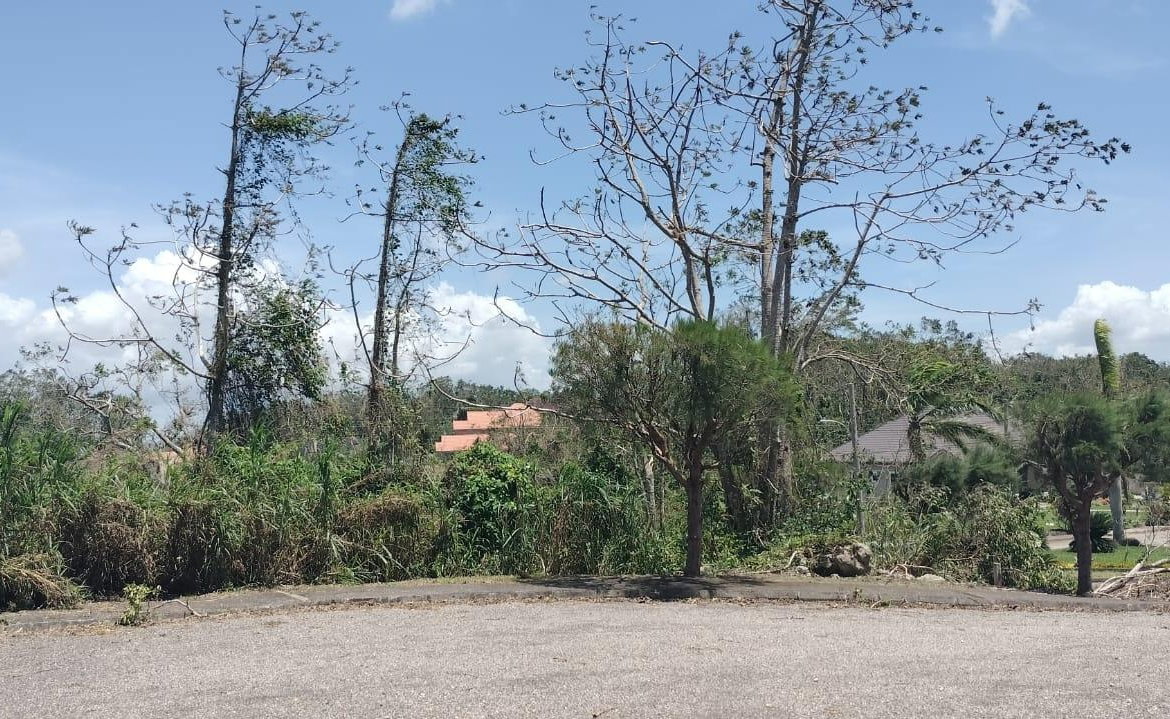 Twenty-First image of 100 Moorelands Estate in Mandeville, Manchester, Jamaica - property is For Sale