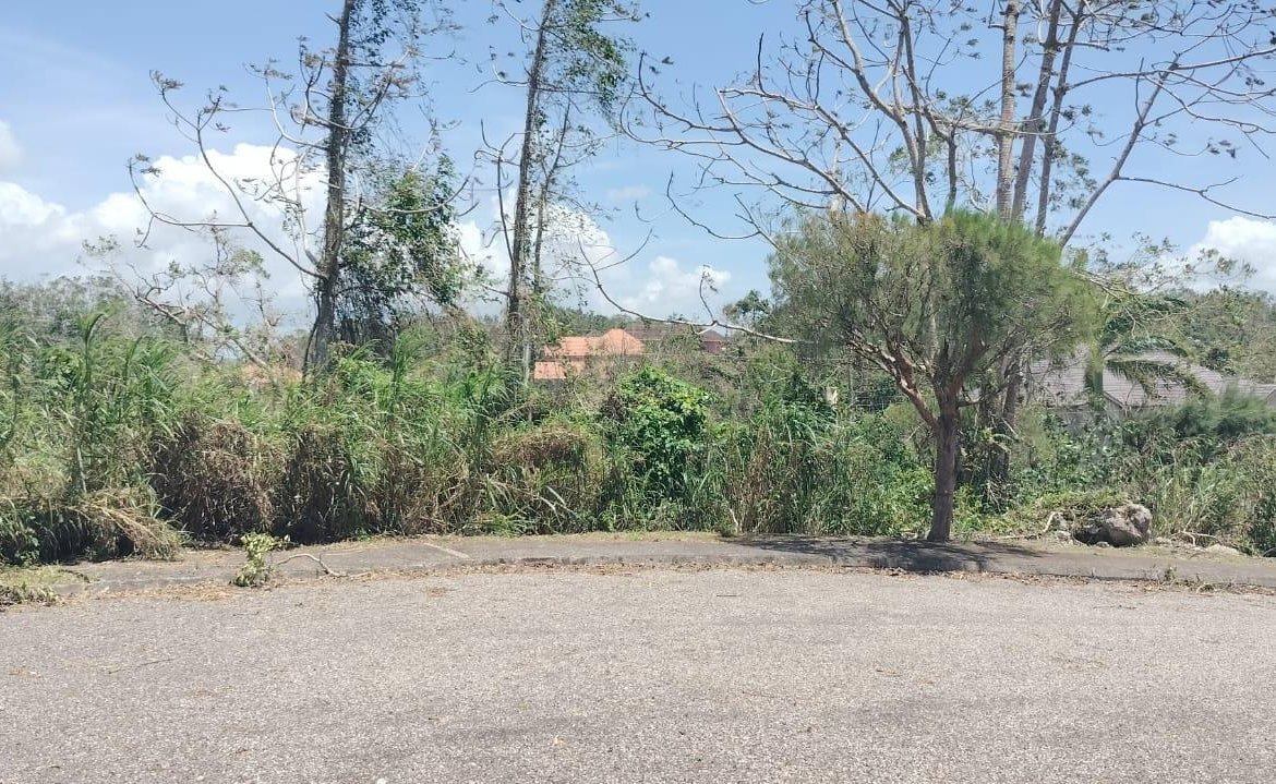 Twenty-Second image of 100 Moorelands Estate in Mandeville, Manchester, Jamaica - property is For Sale