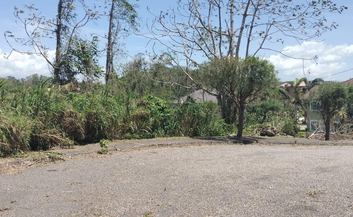 Twenty-Third image of 100 Moorelands Estate in Mandeville, Manchester, Jamaica - property is For Sale