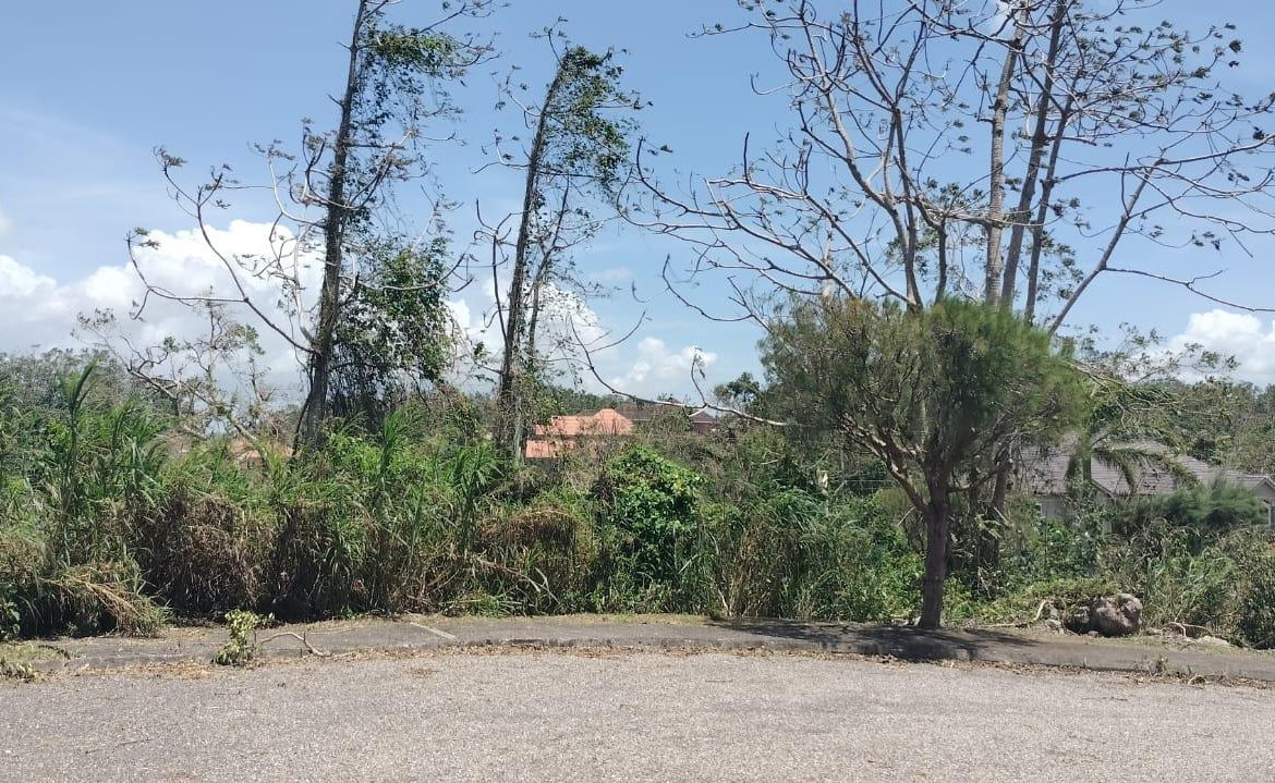 Twenty-Fourth image of 100 Moorelands Estate in Mandeville, Manchester, Jamaica - property is For Sale