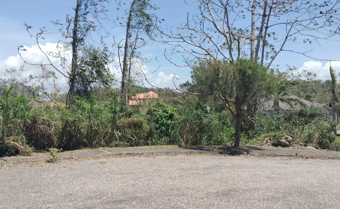Twenty-Fifth image of 100 Moorelands Estate in Mandeville, Manchester, Jamaica - property is For Sale