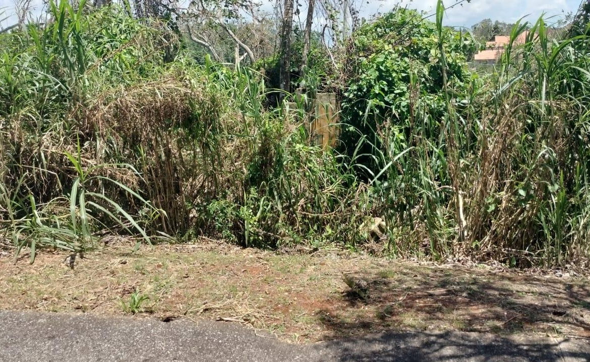 Twenty-Sixth image of 100 Moorelands Estate in Mandeville, Manchester, Jamaica - property is For Sale