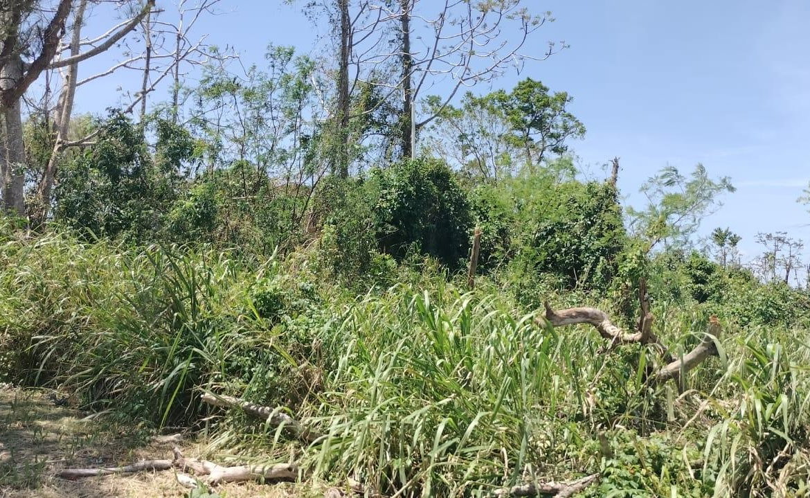 Fourth image of 100 Moorelands Estate in Mandeville, Manchester, Jamaica - property is For Sale