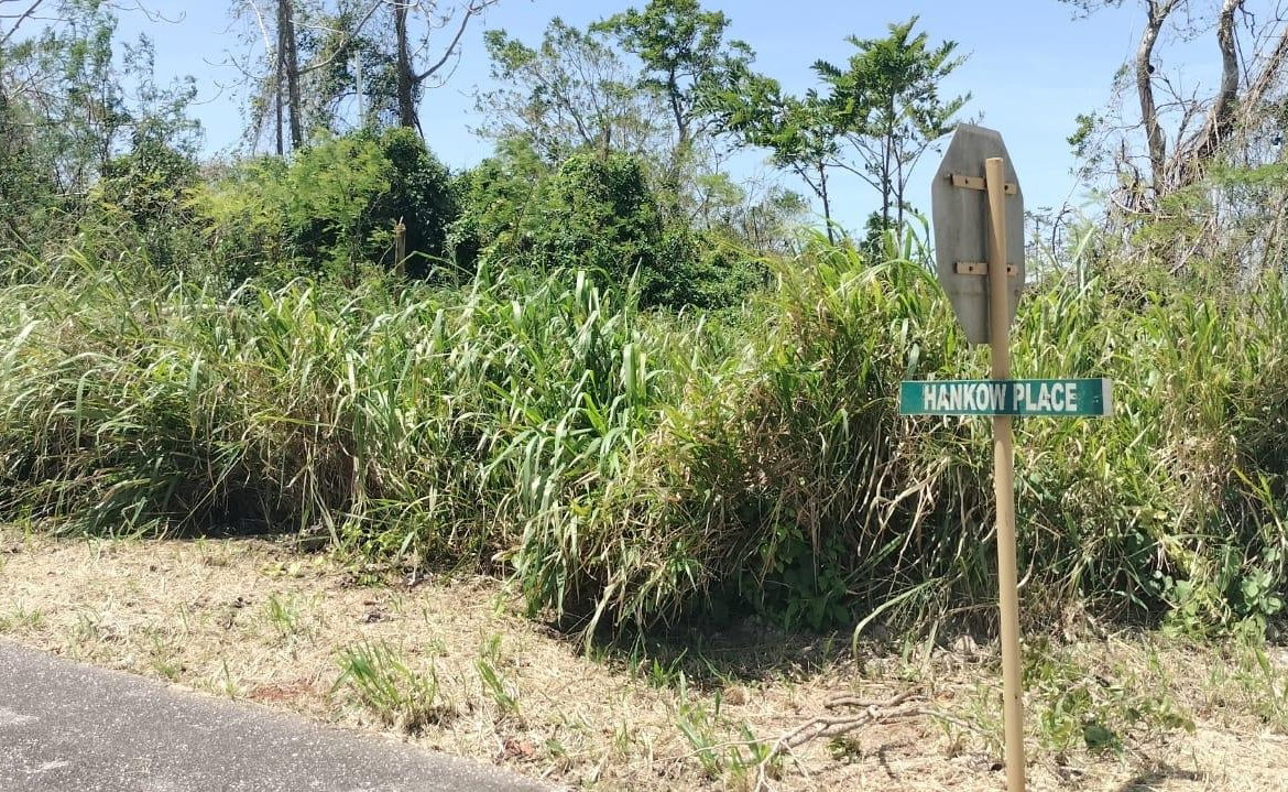 Fifth image of 100 Moorelands Estate in Mandeville, Manchester, Jamaica - property is For Sale
