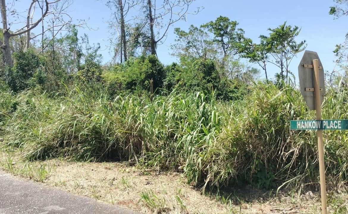 Sixth image of 100 Moorelands Estate in Mandeville, Manchester, Jamaica - property is For Sale