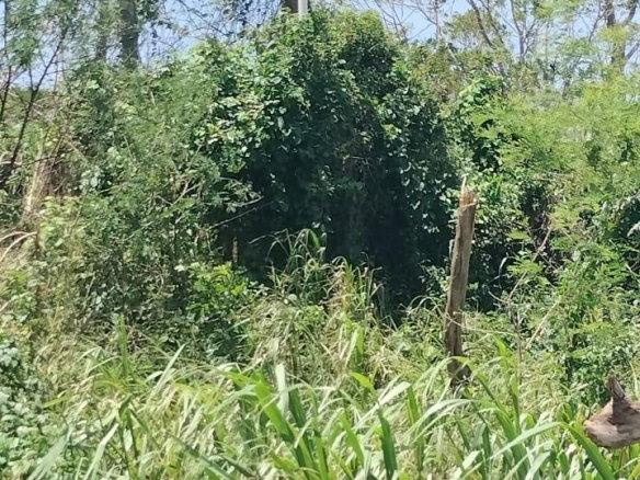 First image of 100 Moorelands Estate in Mandeville, Manchester, Jamaica - property is For Sale