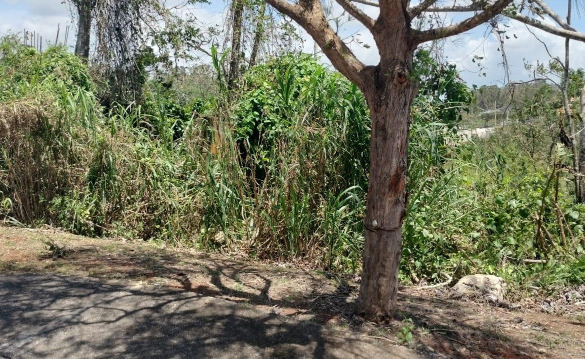 Seventh image of 100 Moorelands Estate in Mandeville, Manchester, Jamaica - property is For Sale