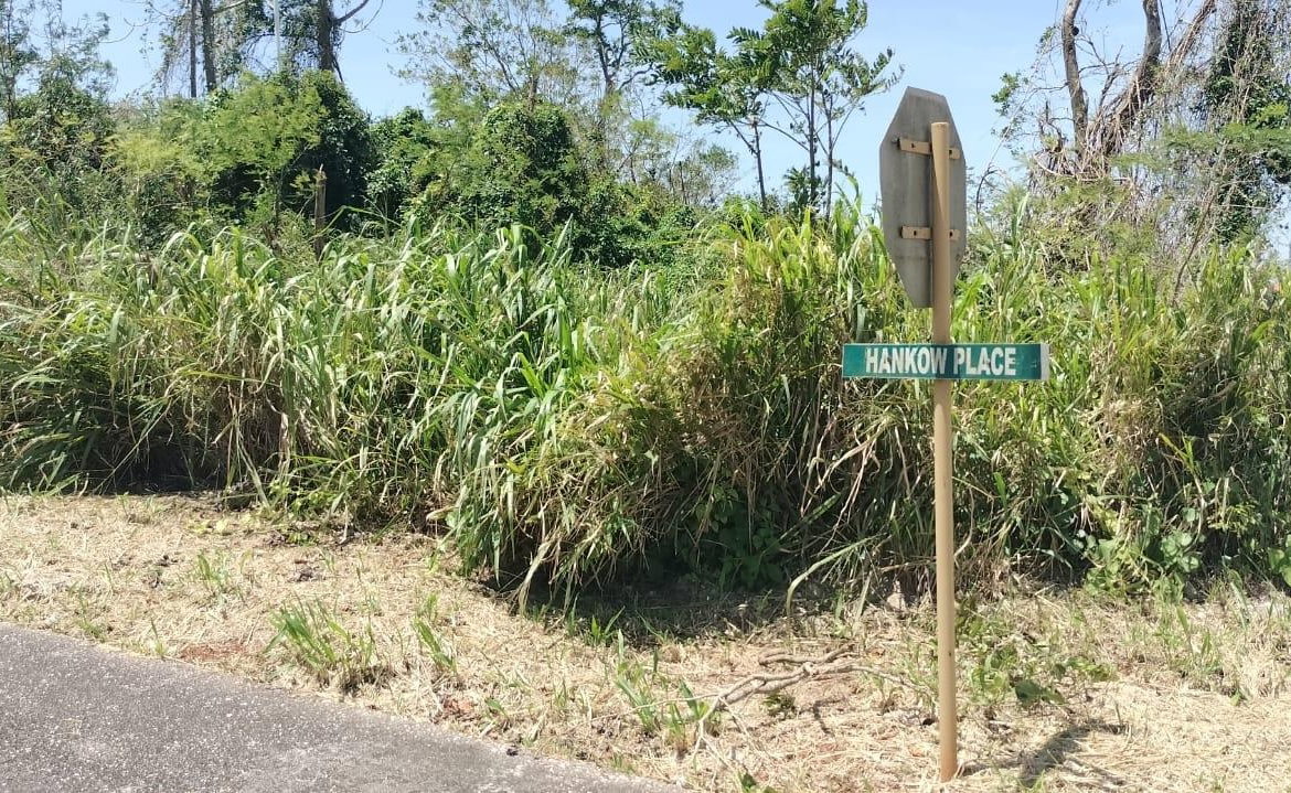 Ninth image of 100 Moorelands Estate in Mandeville, Manchester, Jamaica - property is For Sale