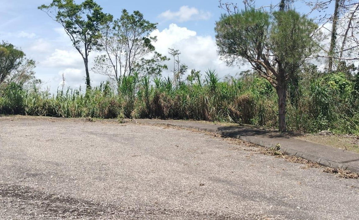 Tenth image of 100 Moorelands Estate in Mandeville, Manchester, Jamaica - property is For Sale
