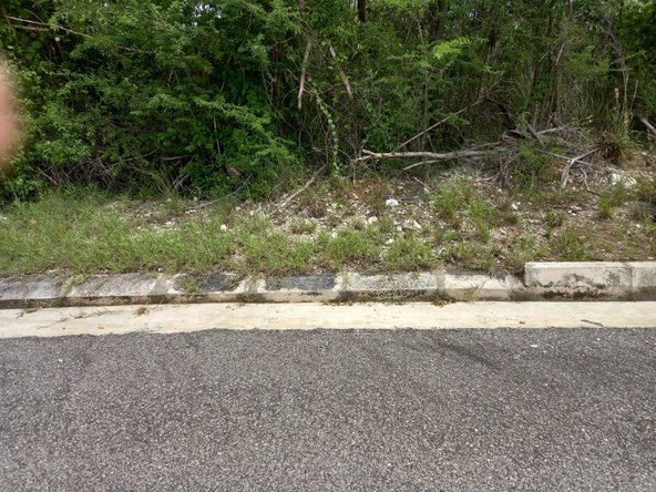 Second image of Lot 194b Palmbrook Estate, Lacovia in Lacovia, St. Elizabeth, Jamaica - property is For Sale
