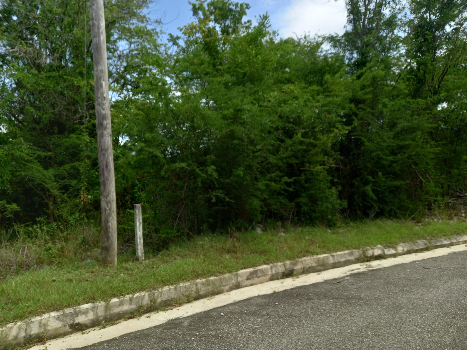 Third image of Lot 194b Palmbrook Estate, Lacovia in Lacovia, St. Elizabeth, Jamaica - property is For Sale