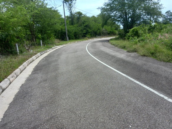 First image of Lot 194b Palmbrook Estate, Lacovia in Lacovia, St. Elizabeth, Jamaica - property is For Sale