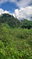 First image of 1-1056-303 Palm Road, Knock Patrick in Knockpatrick, Manchester, Jamaica - property is For Sale