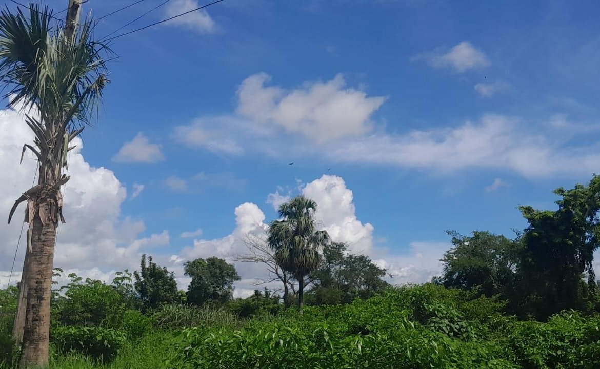 Second image of Harmony Lane, Santa Cruz in Santa Cruz, St. Elizabeth, Jamaica - property is For Sale