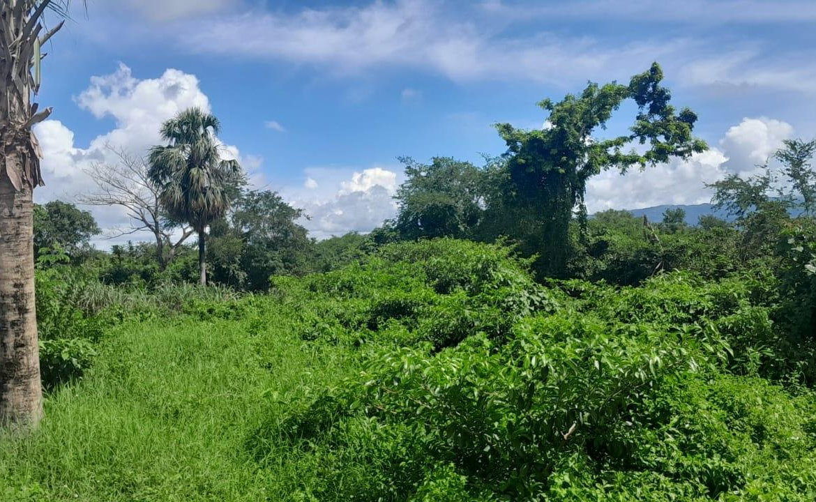 Third image of Harmony Lane, Santa Cruz in Santa Cruz, St. Elizabeth, Jamaica - property is For Sale