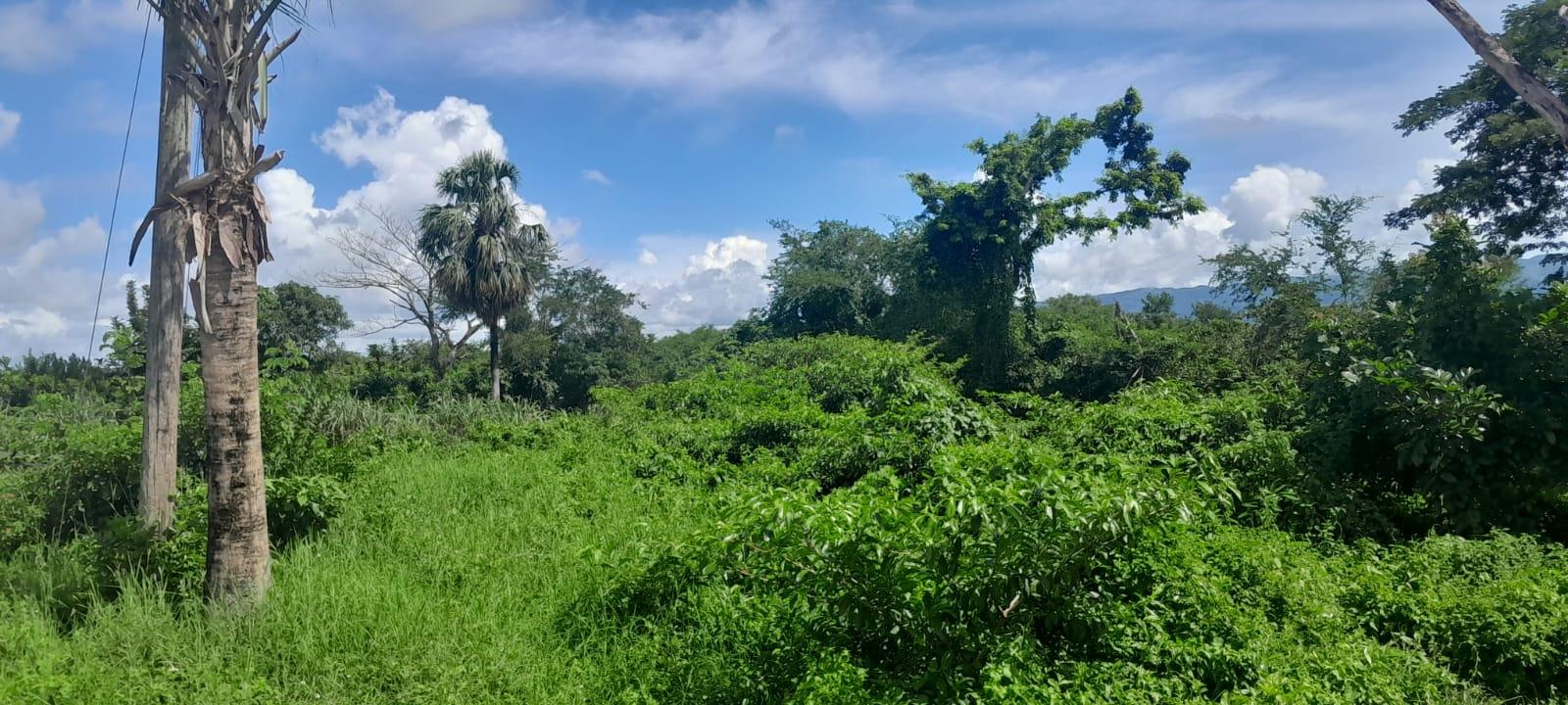 Third image of Harmony Lane, Santa Cruz in Santa Cruz, St. Elizabeth, Jamaica - property is For Sale
