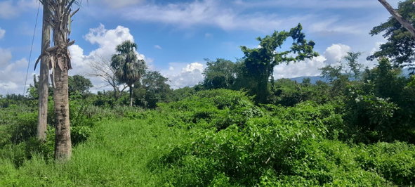 Third image of Harmony Lane, Santa Cruz in Santa Cruz, St. Elizabeth, Jamaica - property is For Sale