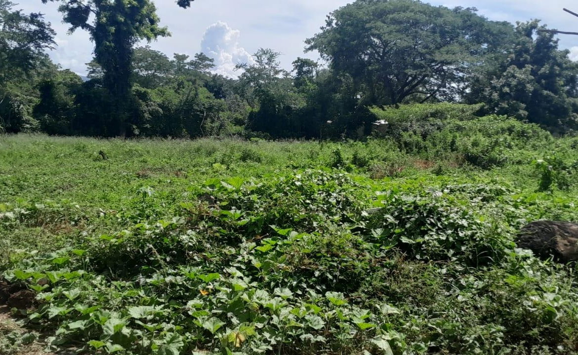 Fourth image of Harmony Lane, Santa Cruz in Santa Cruz, St. Elizabeth, Jamaica - property is For Sale