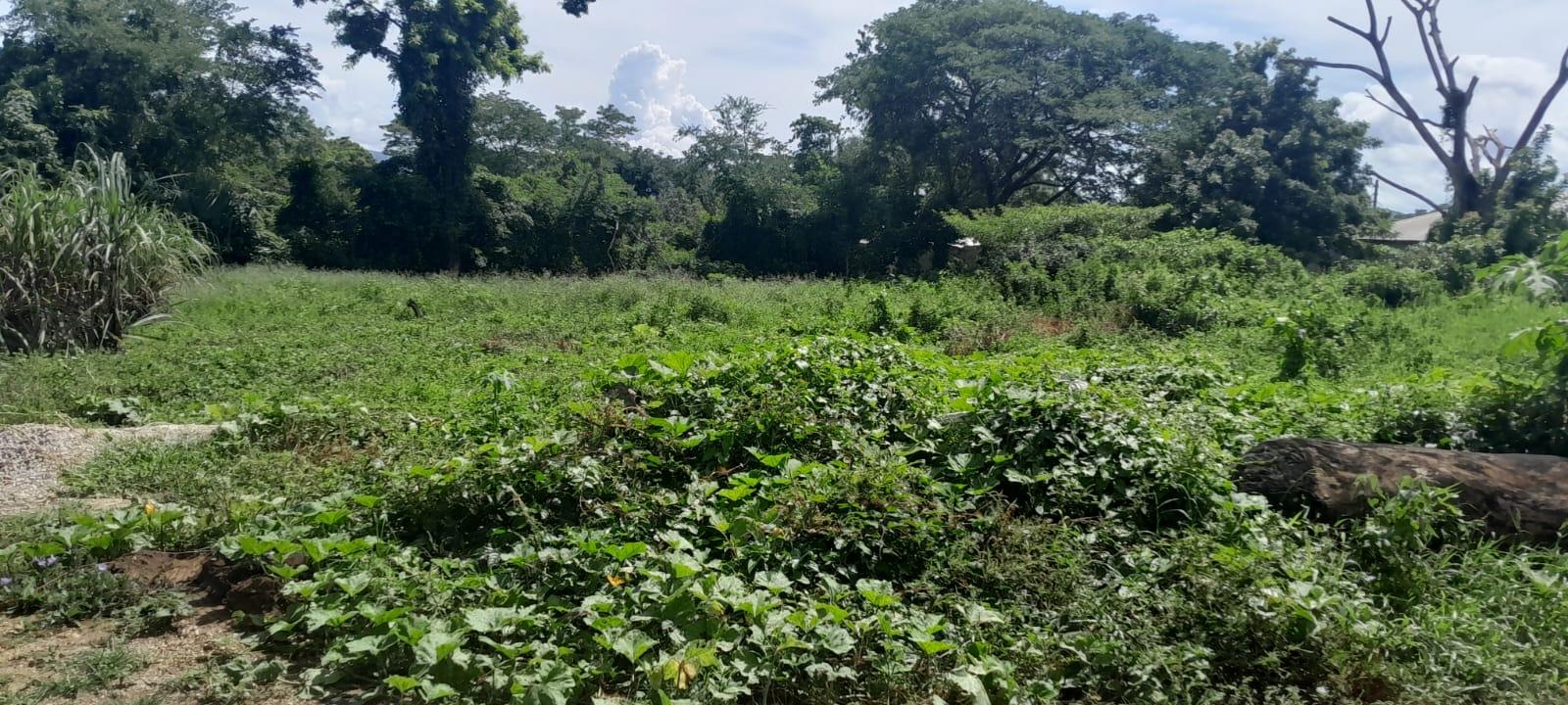 Fourth image of Harmony Lane, Santa Cruz in Santa Cruz, St. Elizabeth, Jamaica - property is For Sale