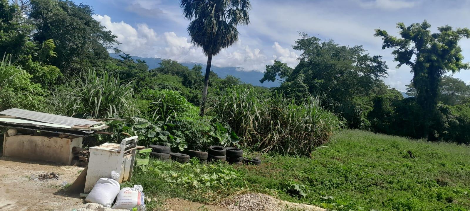 Fifth image of Harmony Lane, Santa Cruz in Santa Cruz, St. Elizabeth, Jamaica - property is For Sale