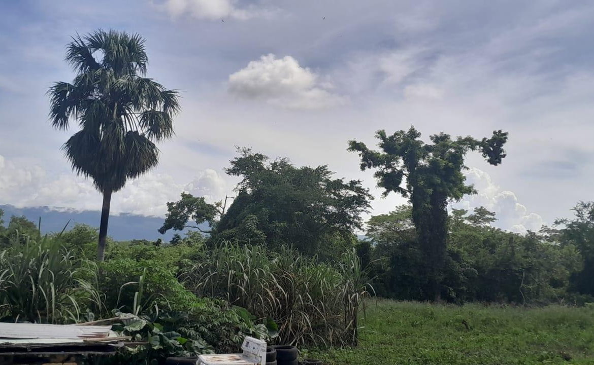 Sixth image of Harmony Lane, Santa Cruz in Santa Cruz, St. Elizabeth, Jamaica - property is For Sale